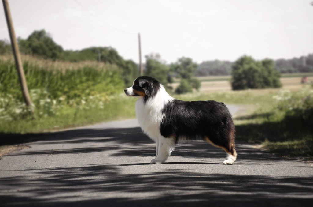 Sr loved me back to life Du Moulin Du Bourgneuf
