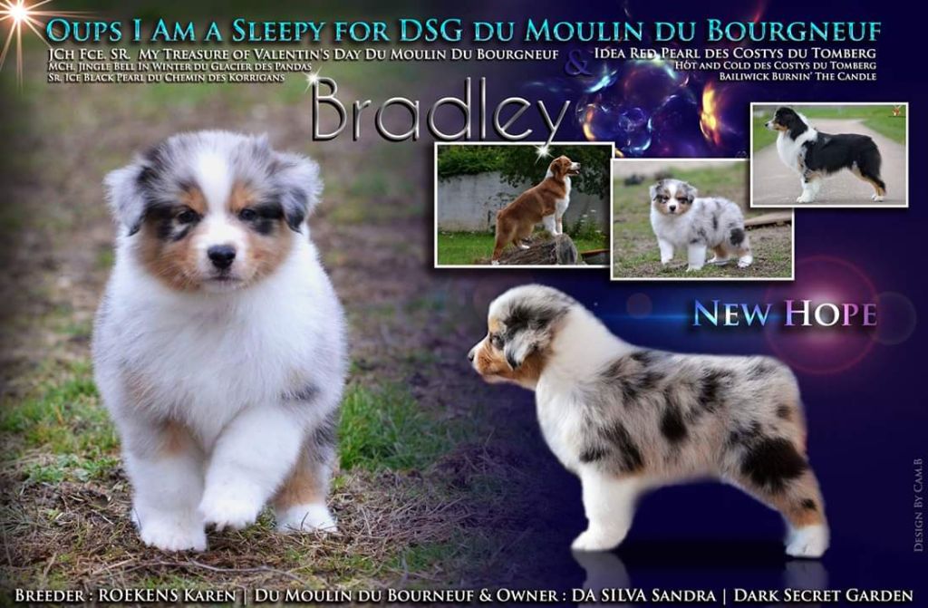 Oups i am sleepy fordsg (dit bradley) Du Moulin Du Bourgneuf